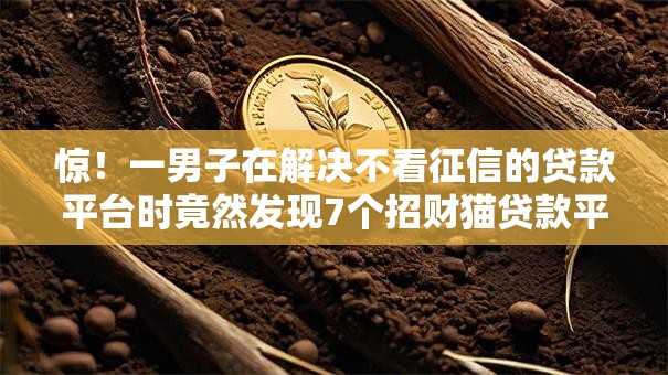 惊!一男子在解决不看征信的贷款平台时竟然发现7个招财猫贷款平台怎么样,事后分享了出来 惊!一男子在解决不看征信的贷款平台时竟然发现7个招财猫贷款平台怎么样,事后分享了出来