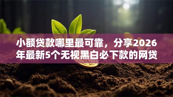 小额贷款哪里最可靠,分享2026年最新5个无视黑白必下款的网贷平台 小额贷款哪里最可靠,分享2026年最新5个无视黑白必下款的网贷平台
