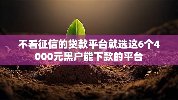 不看征信的贷款平台就选这6个4000元黑户能下款的平台 不看征信的贷款平台就选这6个4000元黑户能下款的平台