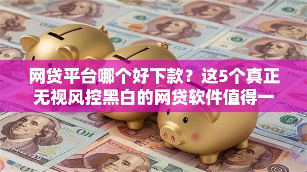 网贷平台哪个好下款?这5个真正无视风控黑白的网贷软件值得一试 网贷平台哪个好下款?这5个真正无视风控黑白的网贷软件值得一试