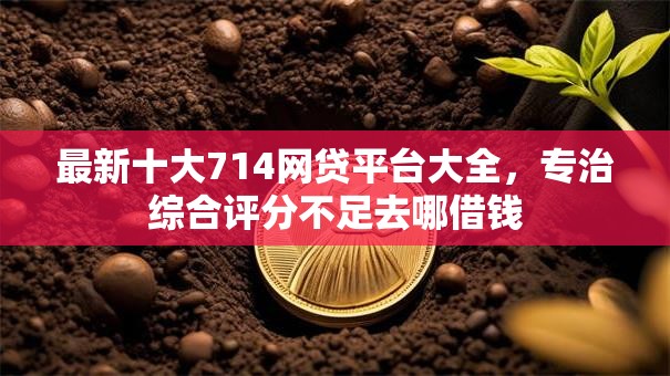 最新十大714网贷平台大全,专治综合评分不足去哪借钱 最新十大714网贷平台大全,专治综合评分不足去哪借钱