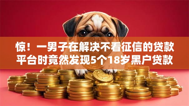 惊!一男子在解决不看征信的贷款平台时竟然发现5个18岁黑户贷款平台,事后分享了出来 惊!一男子在解决不看征信的贷款平台时竟然发现5个18岁黑户贷款平台,事后分享了出来