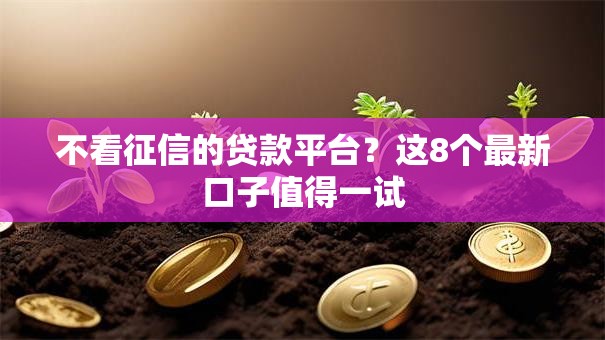 不看征信的贷款平台？这8个最新口子值得一试