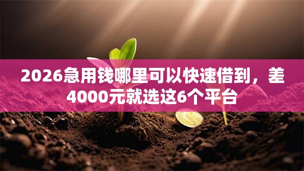 2026急用钱哪里可以快速借到，差4000元就选这6个平台