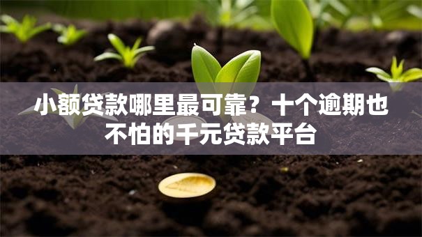 小额贷款哪里最可靠?十个逾期也不怕的千元贷款平台 小额贷款哪里最可靠?十个逾期也不怕的千元贷款平台