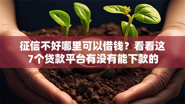 征信不好哪里可以借钱?看看这7个贷款平台有没有能下款的 征信不好哪里可以借钱?看看这7个贷款平台有没有能下款的