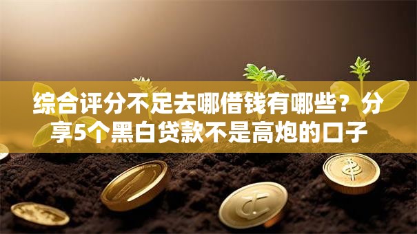 综合评分不足去哪借钱有哪些?分享5个黑白贷款不是高炮的口子 综合评分不足去哪借钱有哪些?分享5个黑白贷款不是高炮的口子