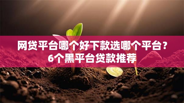 网贷平台哪个好下款选哪个平台?6个黑平台贷款推荐 网贷平台哪个好下款选哪个平台?6个黑平台贷款推荐