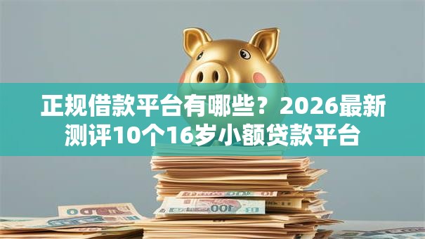 正规借款平台有哪些？2026最新测评10个16岁小额贷款平台