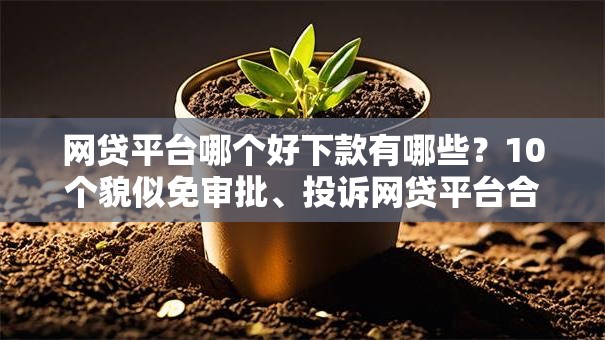 网贷平台哪个好下款有哪些?10个貌似免审批、投诉网贷平台合集 网贷平台哪个好下款有哪些?10个貌似免审批、投诉网贷平台合集