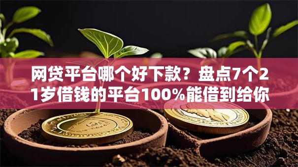 网贷平台哪个好下款?盘点7个21岁借钱的平台100%能借到给你参考 网贷平台哪个好下款?盘点7个21岁借钱的平台100%能借到给你参考