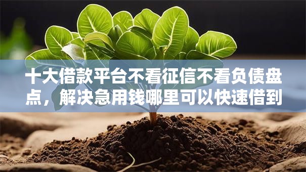 十大借款平台不看征信不看负债盘点，解决急用钱哪里可以快速借到的问题