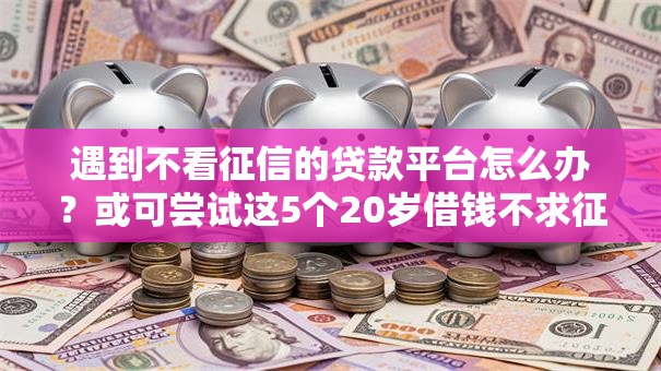 遇到不看征信的贷款平台怎么办?或可尝试这5个20岁借钱不求征信速借口子 遇到不看征信的贷款平台怎么办?或可尝试这5个20岁借钱不求征信速借口子