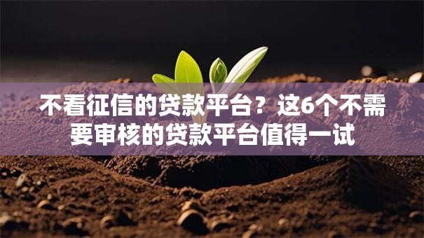 不看征信的贷款平台?这6个不需要审核的贷款平台值得一试 不看征信的贷款平台?这6个不需要审核的贷款平台值得一试