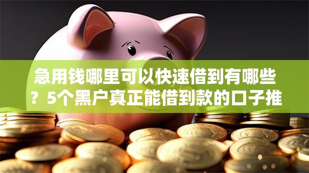急用钱哪里可以快速借到有哪些?5个黑户真正能借到款的口子推荐给你 急用钱哪里可以快速借到有哪些?5个黑户真正能借到款的口子推荐给你
