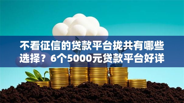 不看征信的贷款平台拢共有哪些选择?6个5000元贷款平台好详解 不看征信的贷款平台拢共有哪些选择?6个5000元贷款平台好详解