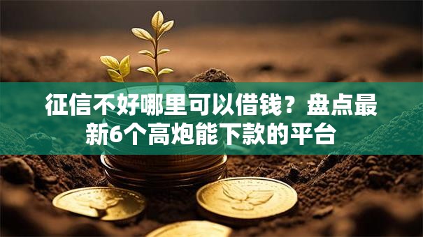 征信不好哪里可以借钱？盘点最新6个高炮能下款的平台