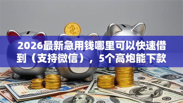 2026最新急用钱哪里可以快速借到（支持微信），5个高炮能下款的平台无私分享