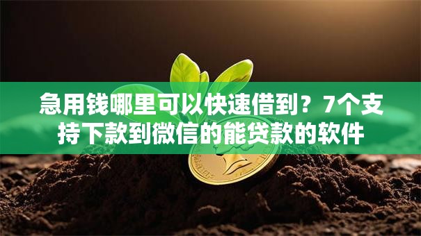 急用钱哪里可以快速借到?7个支持下款到微信的能贷款的软件 急用钱哪里可以快速借到?7个支持下款到微信的能贷款的软件