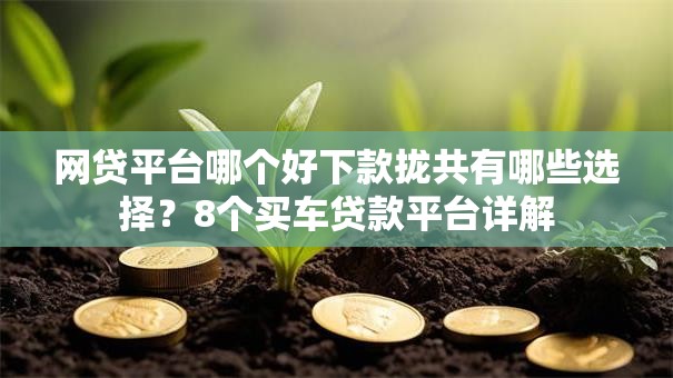 网贷平台哪个好下款拢共有哪些选择?8个买车贷款平台详解 网贷平台哪个好下款拢共有哪些选择?8个买车贷款平台详解