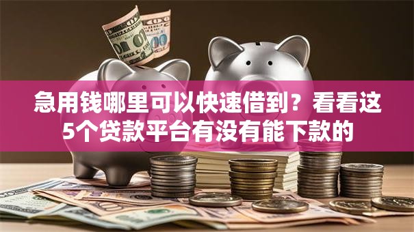 急用钱哪里可以快速借到？看看这5个贷款平台有没有能下款的