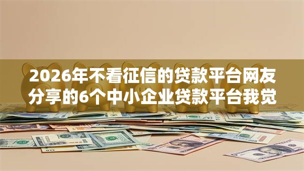 2026年不看征信的贷款平台网友分享的6个中小企业贷款平台我觉得不错！