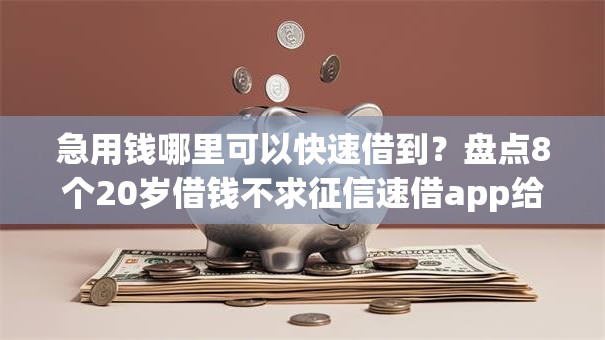 急用钱哪里可以快速借到？盘点8个20岁借钱不求征信速借app给你参考