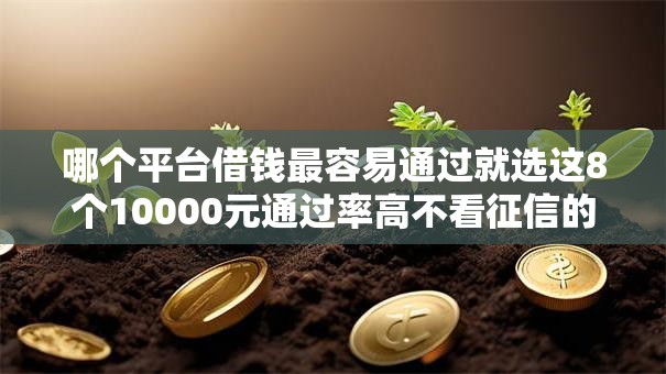 哪个平台借钱最容易通过就选这8个10000元通过率高不看征信的贷款平台