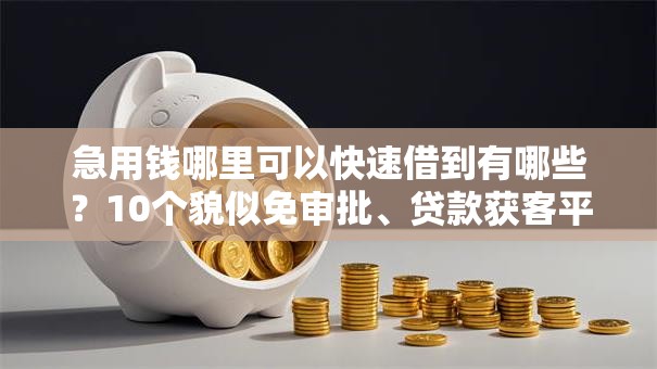 急用钱哪里可以快速借到有哪些？10个貌似免审批、贷款获客平台合集