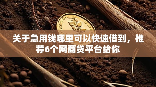 关于急用钱哪里可以快速借到，推荐6个网商贷平台给你