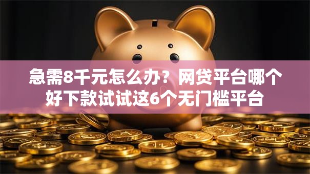 急需8千元怎么办？网贷平台哪个好下款试试这6个无门槛平台