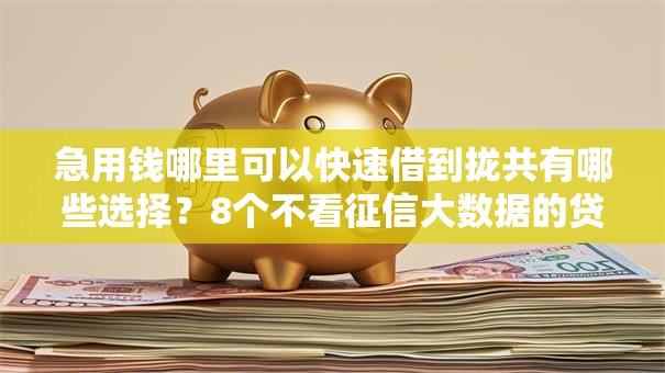 急用钱哪里可以快速借到拢共有哪些选择？8个不看征信大数据的贷款平台一定能下款详解