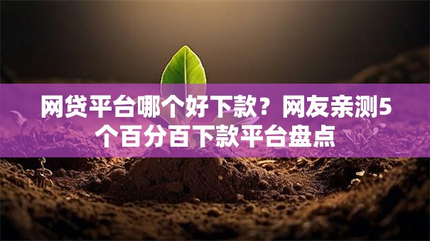 网贷平台哪个好下款？网友亲测5个百分百下款平台盘点