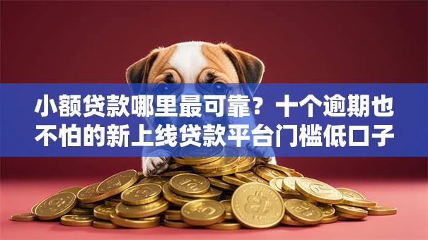 小额贷款哪里最可靠？十个逾期也不怕的新上线贷款平台门槛低口子