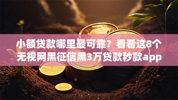 小额贷款哪里最可靠？看看这8个无视网黑征信黑3万贷款秒款app名单怎么样
