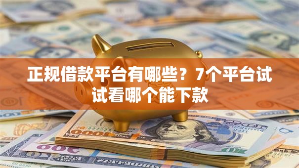正规借款平台有哪些？7个平台试试看哪个能下款