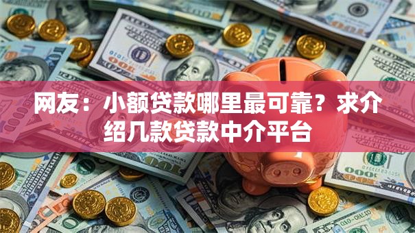 网友：小额贷款哪里最可靠？求介绍几款贷款中介平台