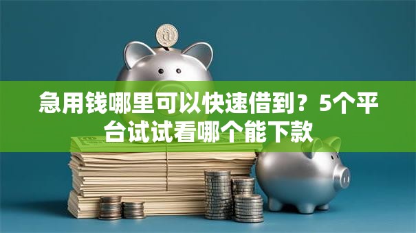 急用钱哪里可以快速借到？5个平台试试看哪个能下款