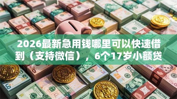 2026最新急用钱哪里可以快速借到（支持微信），6个17岁小额贷款平台无私分享