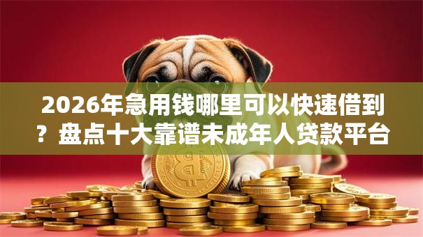 2026年急用钱哪里可以快速借到?盘点十大靠谱未成年人贷款平台 2026年急用钱哪里可以快速借到?盘点十大靠谱未成年人贷款平台