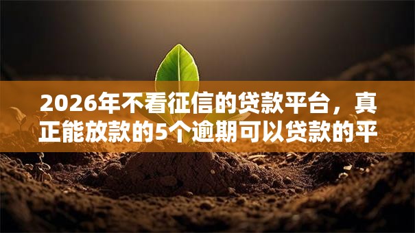 2026年不看征信的贷款平台，真正能放款的5个逾期可以贷款的平台推荐