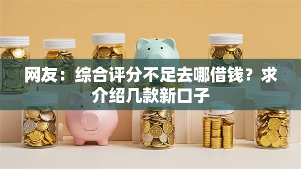 网友：综合评分不足去哪借钱？求介绍几款新口子