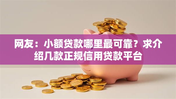 网友：小额贷款哪里最可靠？求介绍几款正规信用贷款平台