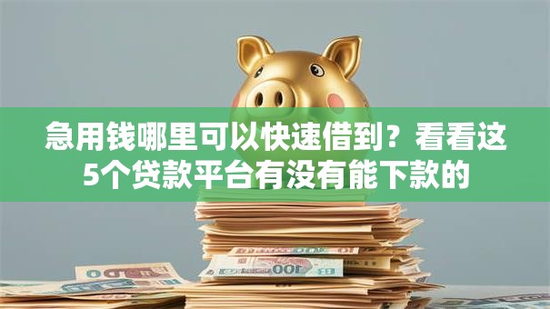 急用钱哪里可以快速借到？看看这5个贷款平台有没有能下款的