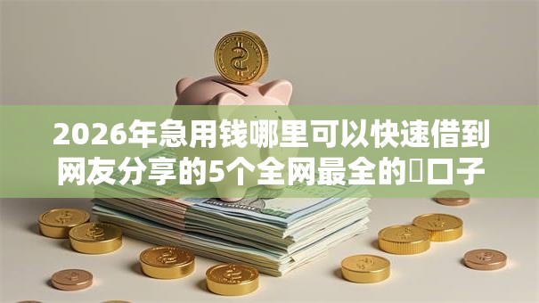 2026年急用钱哪里可以快速借到网友分享的5个全网最全的黒口子平台我觉得不错！