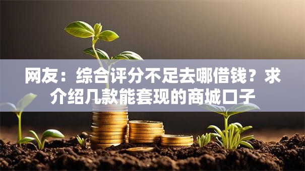 网友：综合评分不足去哪借钱？求介绍几款能套现的商城口子