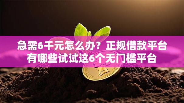 急需6千元怎么办?正规借款平台有哪些试试这6个无门槛平台 急需6千元怎么办?正规借款平台有哪些试试这6个无门槛平台