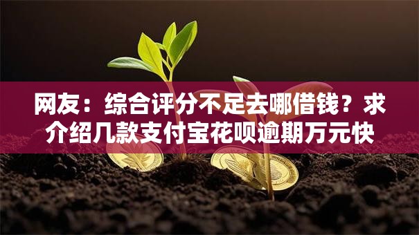 网友:综合评分不足去哪借钱?求介绍几款支付宝花呗逾期万元快速贷款平台 网友:综合评分不足去哪借钱?求介绍几款支付宝花呗逾期万元快速贷款平台