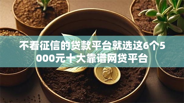 不看征信的贷款平台就选这6个5000元十大靠谱网贷平台 不看征信的贷款平台就选这6个5000元十大靠谱网贷平台