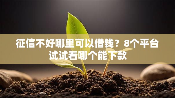 征信不好哪里可以借钱?8个平台试试看哪个能下款 征信不好哪里可以借钱?8个平台试试看哪个能下款